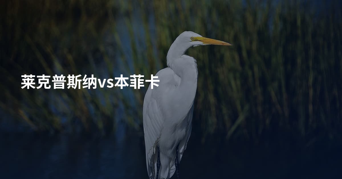 莱克普斯纳vs本菲卡