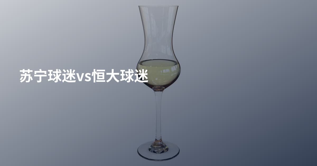 苏宁球迷vs恒大球迷