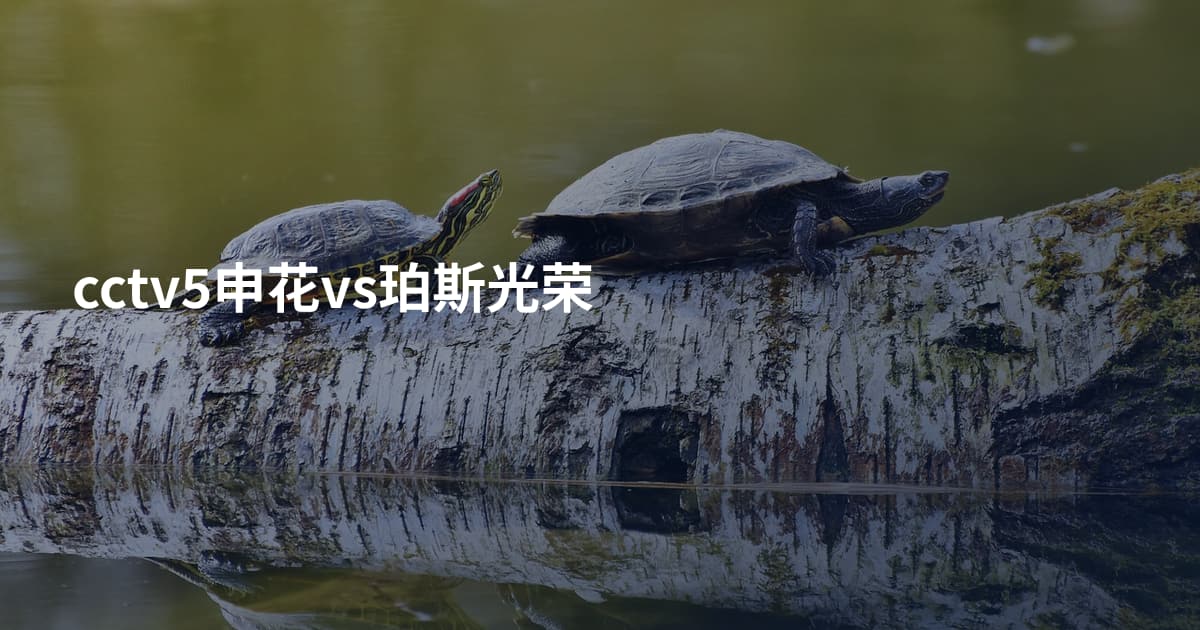 cctv5申花vs珀斯光荣