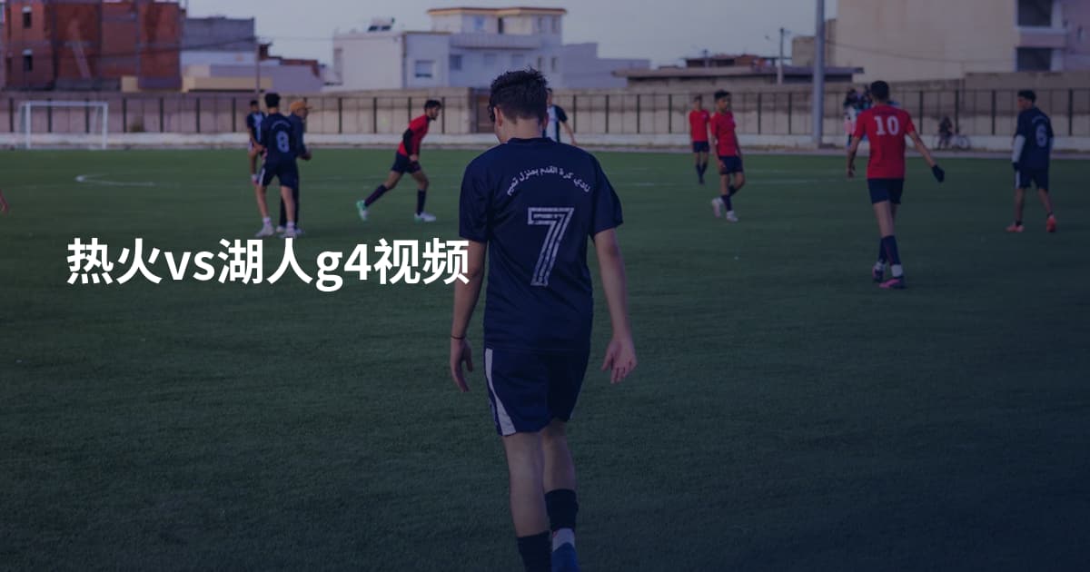 热火vs湖人g4视频