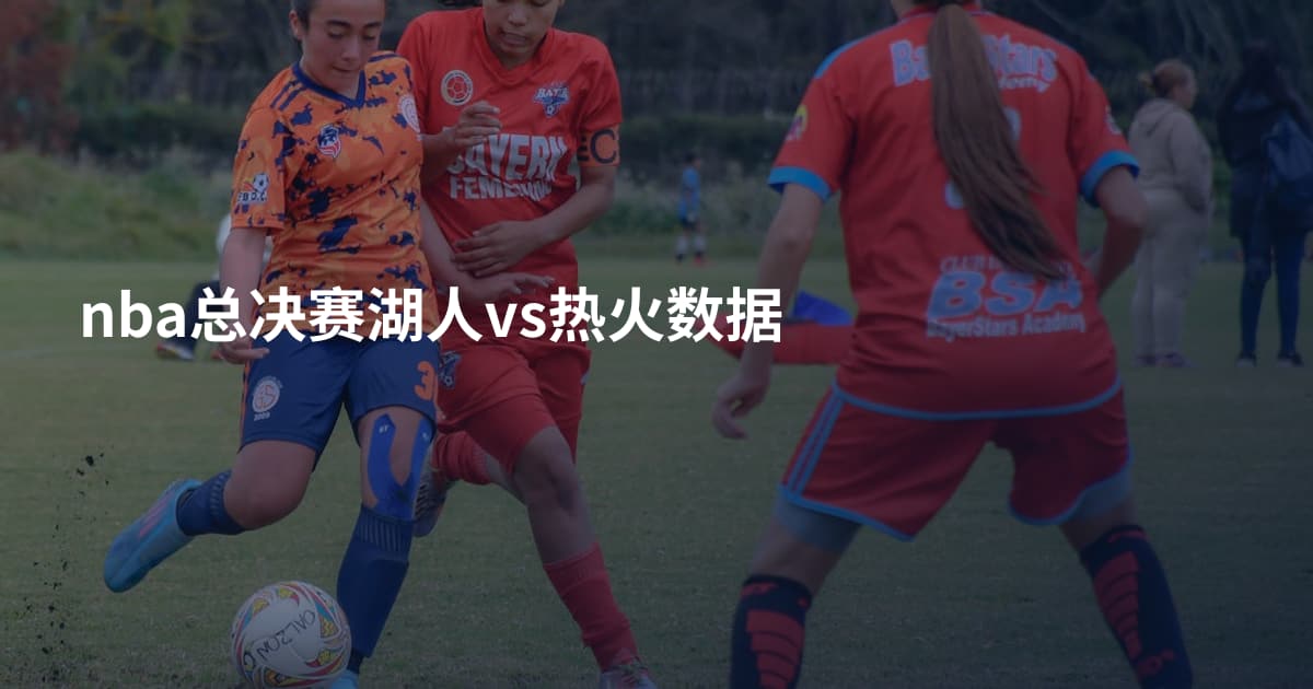 nba总决赛湖人vs热火数据