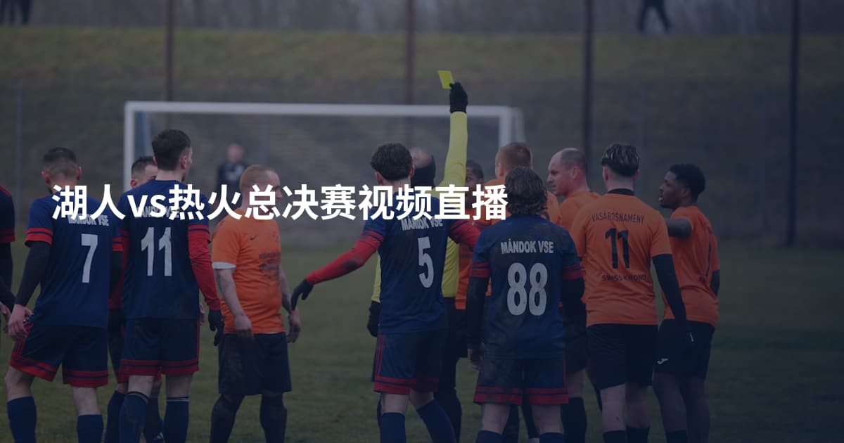 湖人vs热火总决赛视频直播