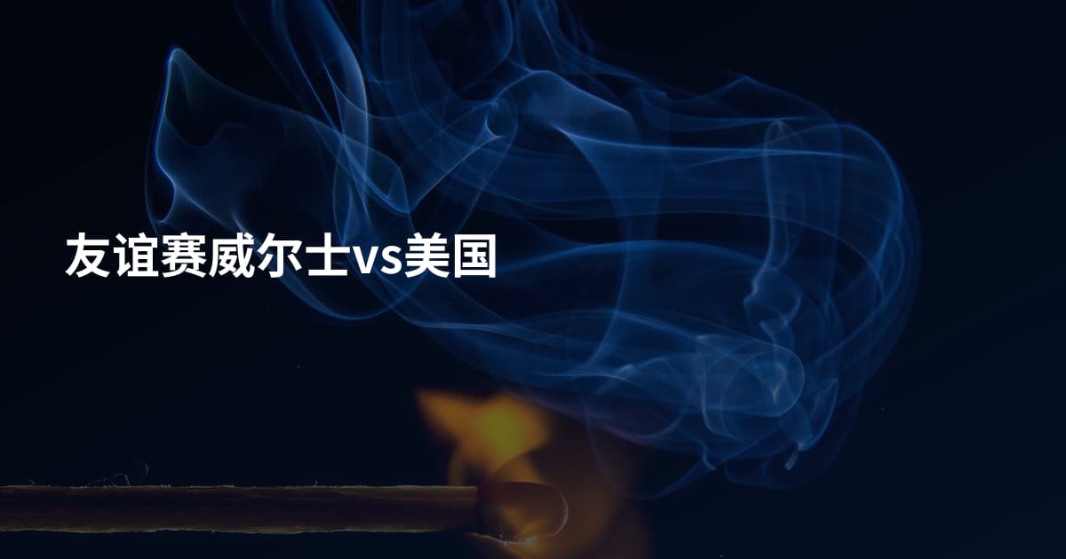 友谊赛威尔士vs美国
