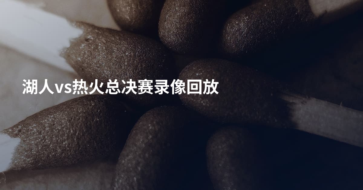 湖人vs热火总决赛录像回放