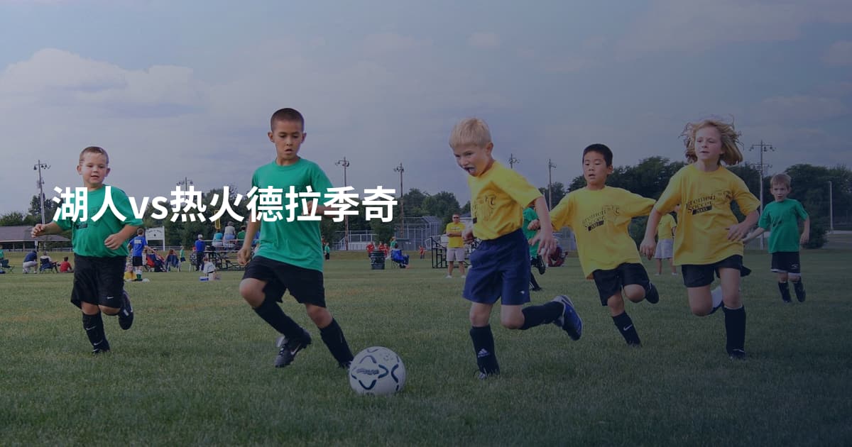 湖人vs热火德拉季奇