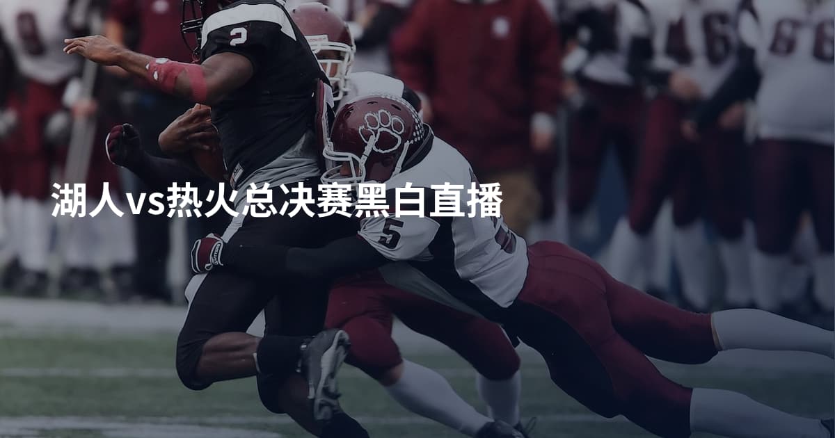 湖人vs热火总决赛黑白直播