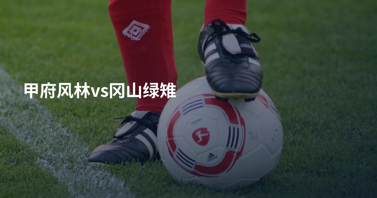 甲府风林vs冈山绿雉