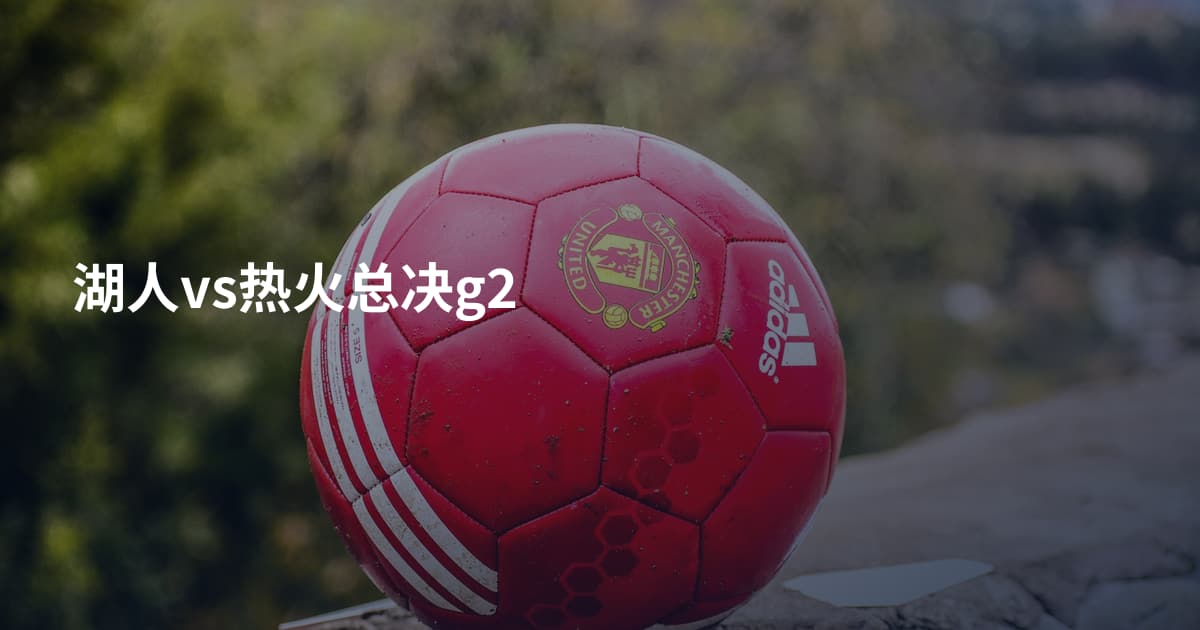 湖人vs热火总决g2