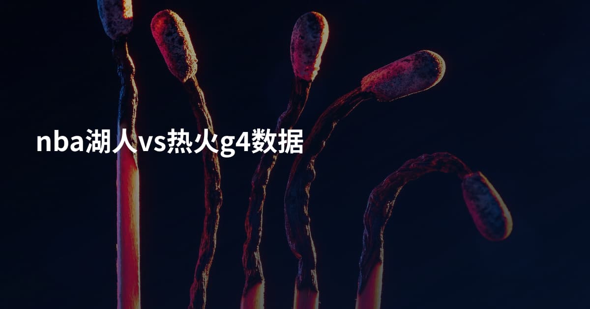 nba湖人vs热火g4数据