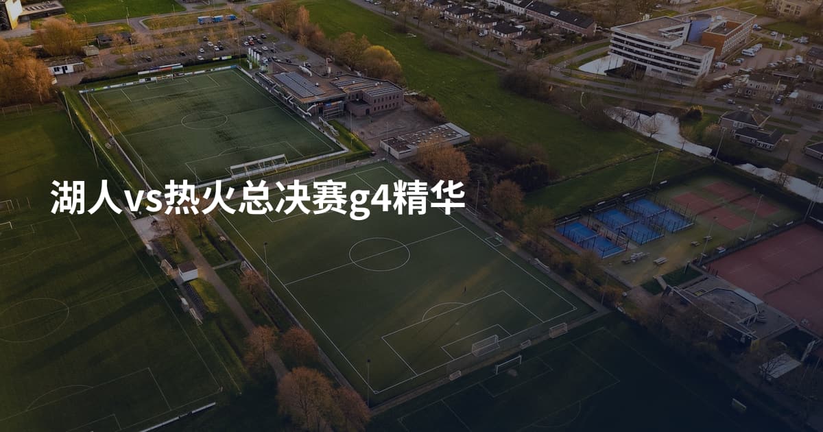 湖人vs热火总决赛g4精华