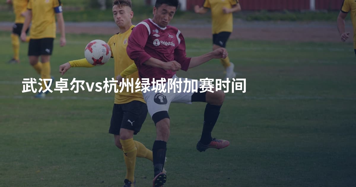 武汉卓尔vs杭州绿城附加赛时间