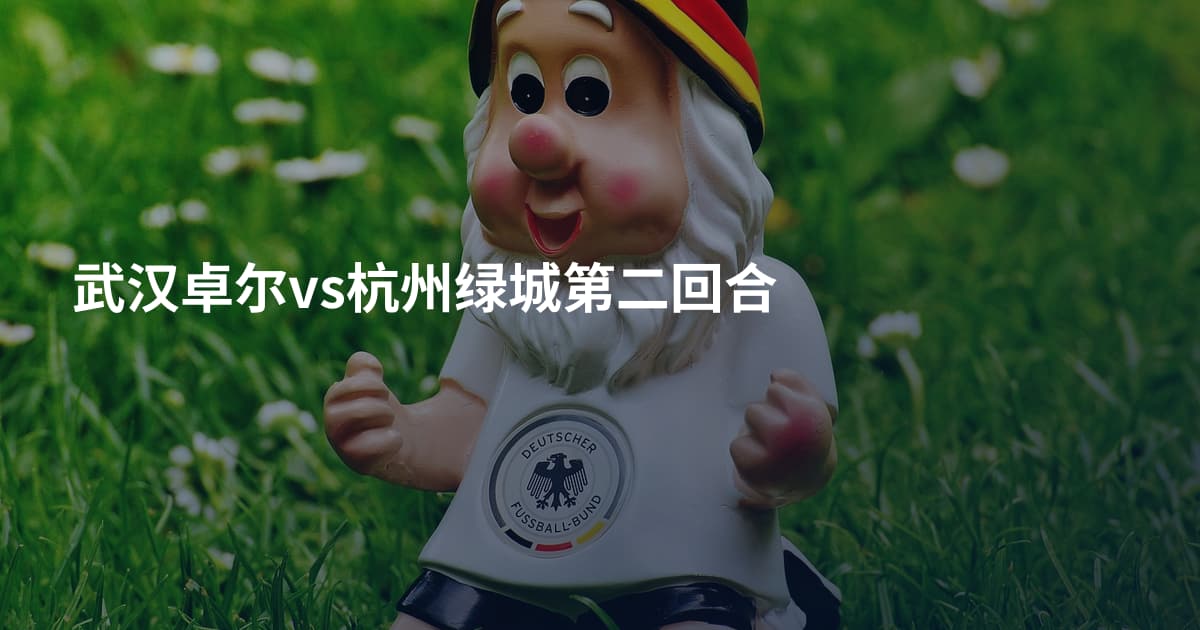 武汉卓尔vs杭州绿城第二回合