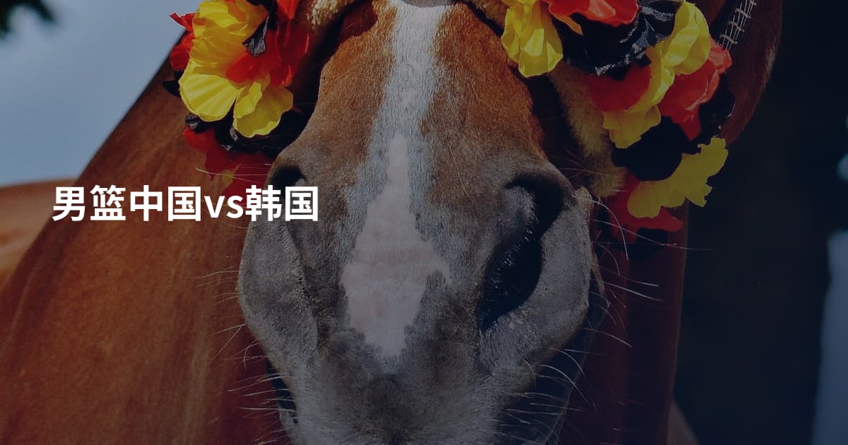 男篮中国vs韩国