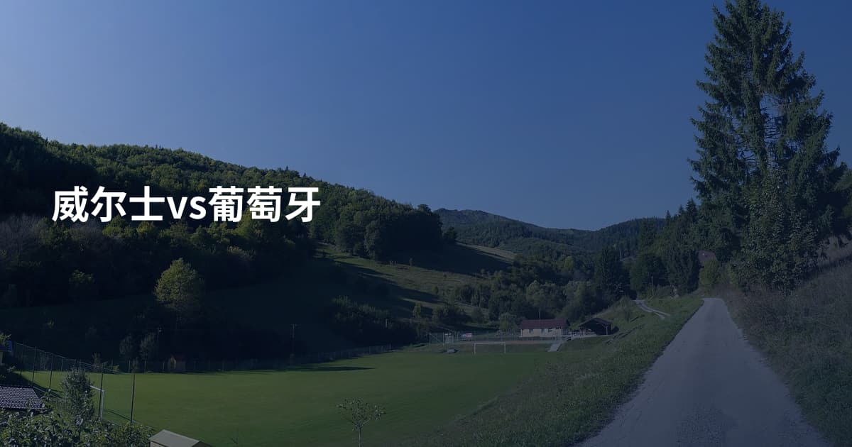 威尔士vs葡萄牙