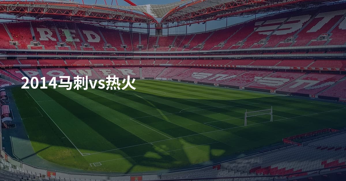 2014马刺vs热火