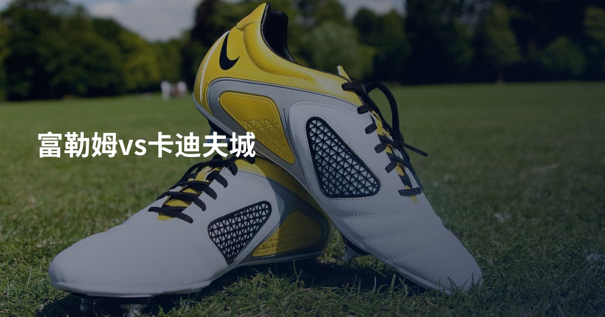 富勒姆vs卡迪夫城