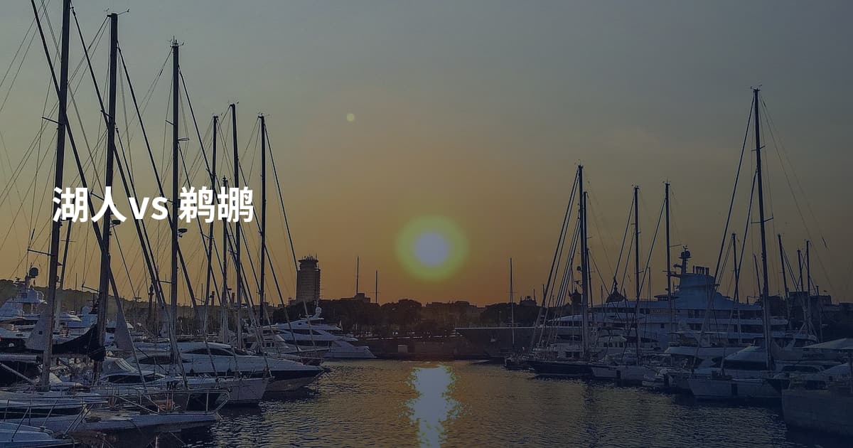 湖人vs 鹈鹕
