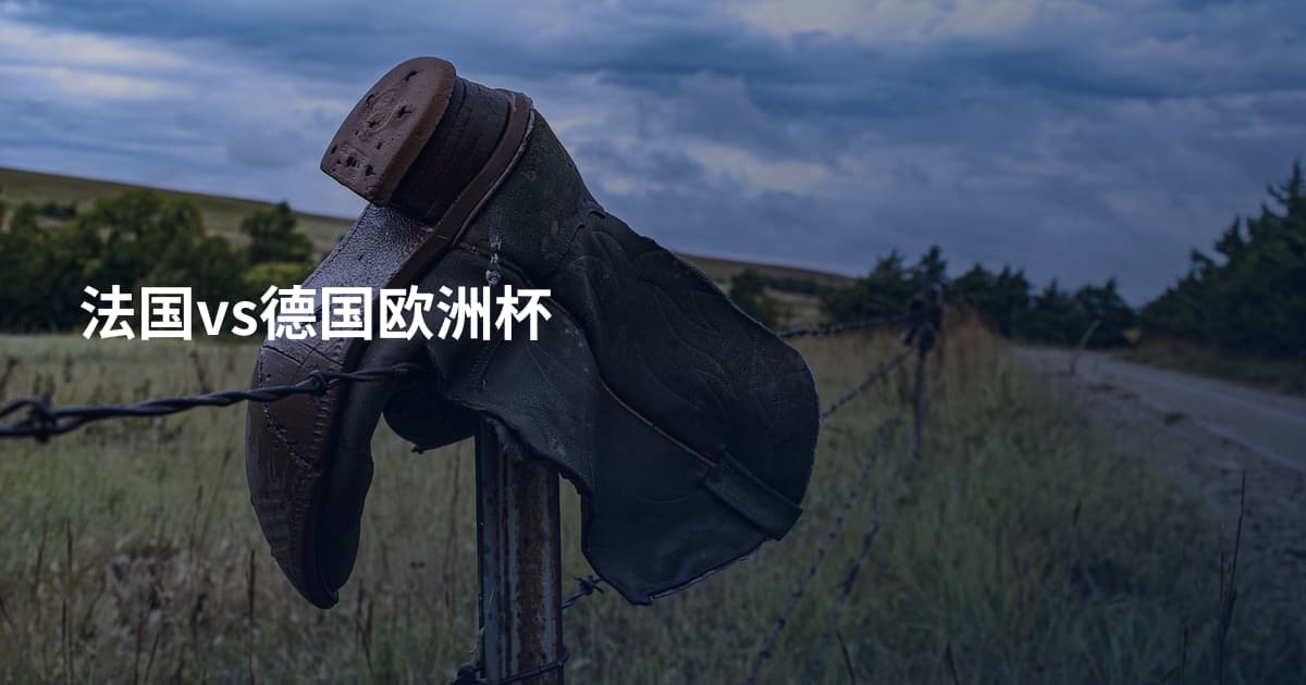 法国vs德国欧洲杯