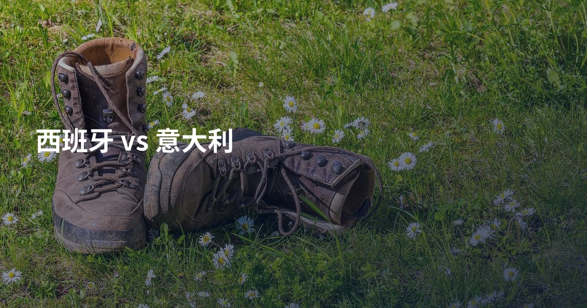 西班牙 vs 意大利