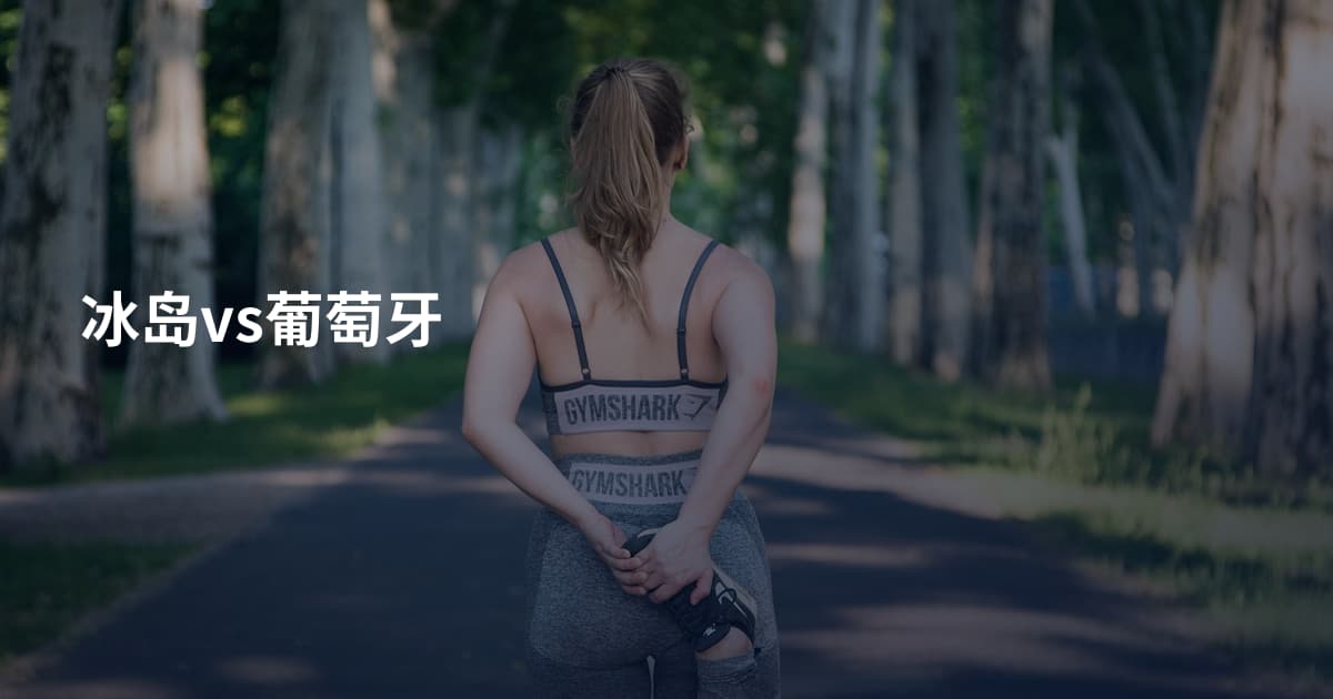 冰岛vs葡萄牙