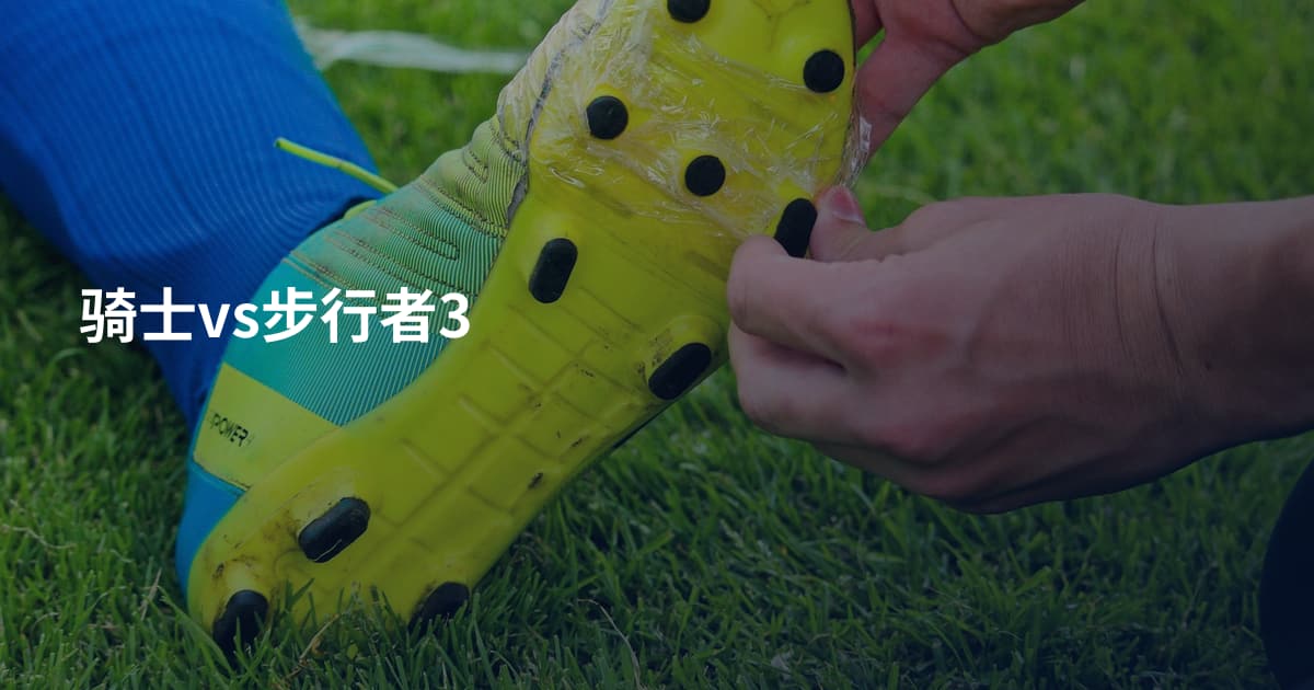 骑士vs步行者3