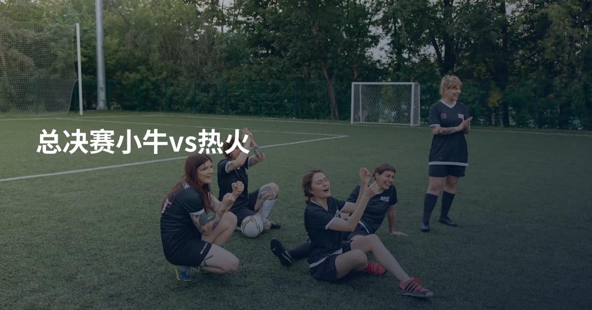 总决赛小牛vs热火