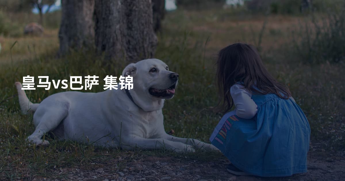 皇马vs巴萨 集锦