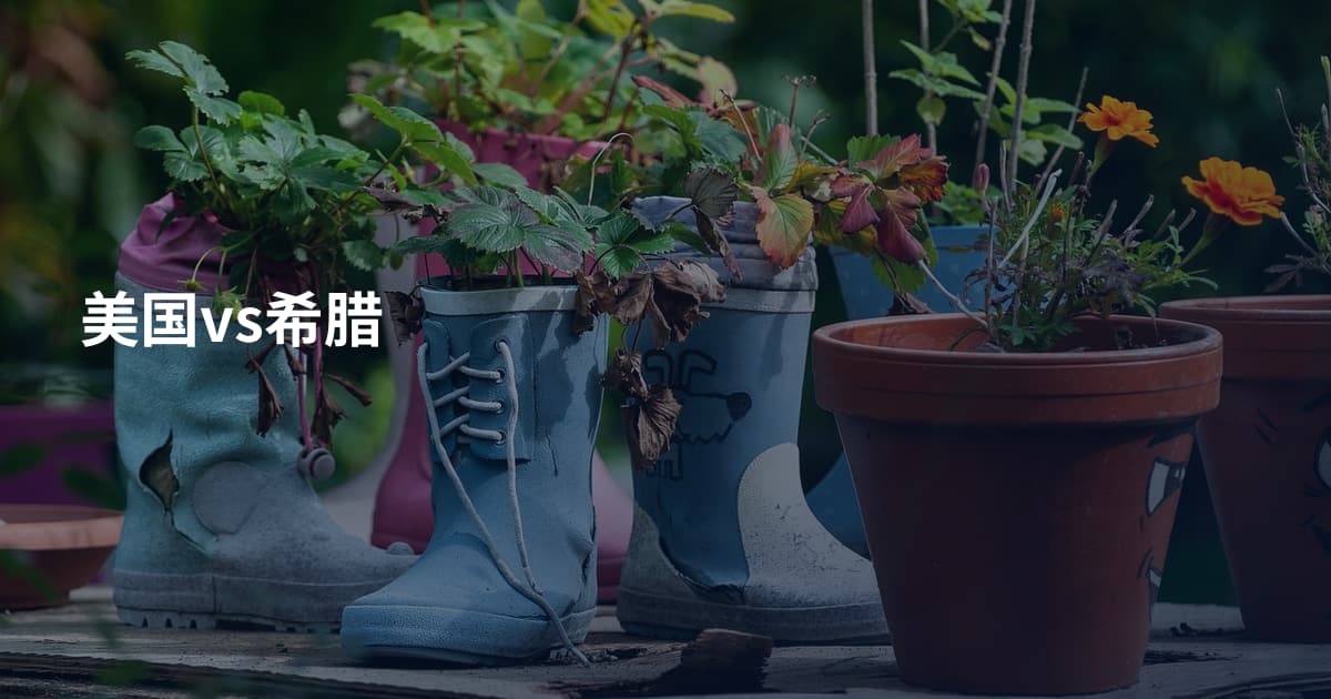 美国vs希腊
