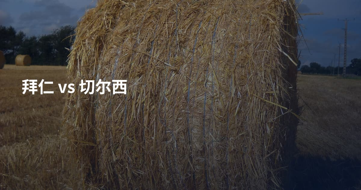 拜仁 vs 切尔西