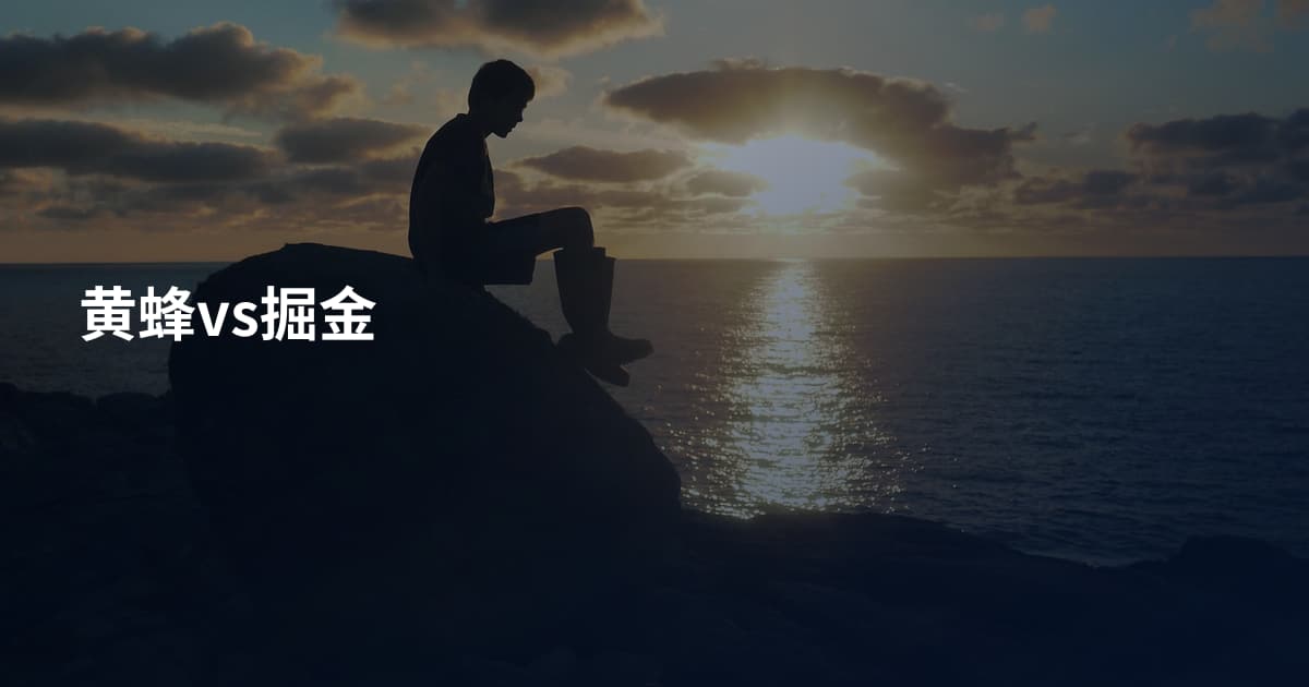 黄蜂vs掘金