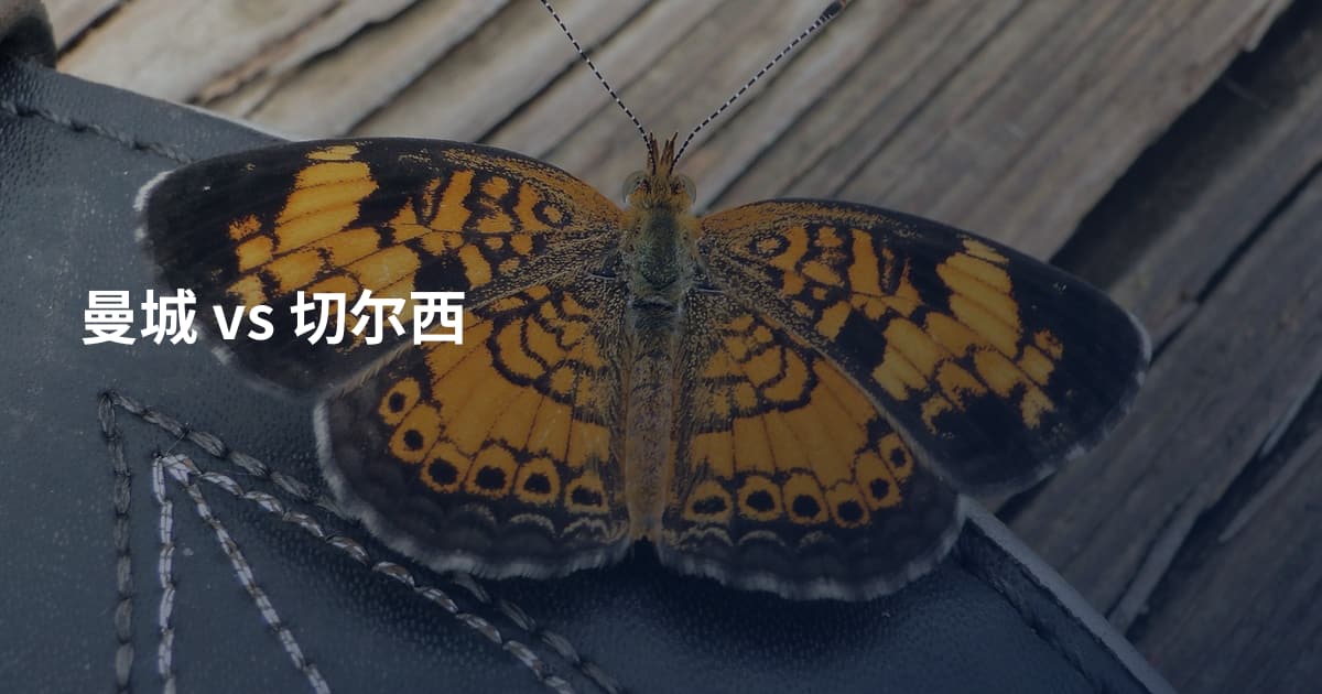 曼城 vs 切尔西