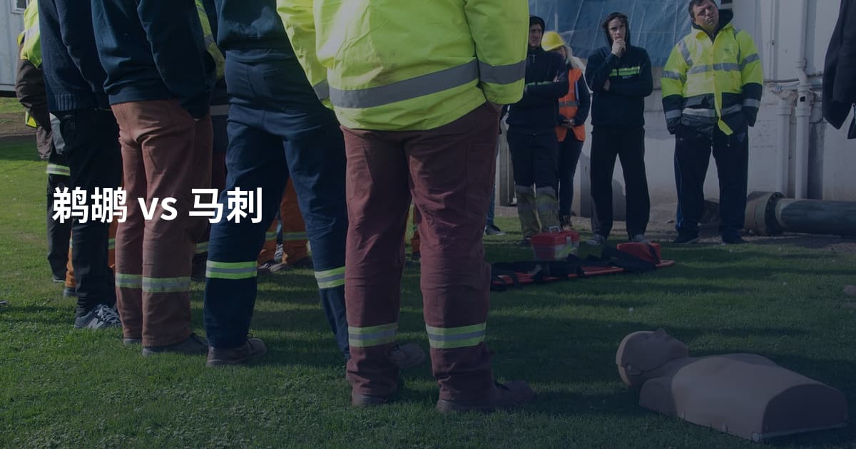 鹈鹕 vs 马刺