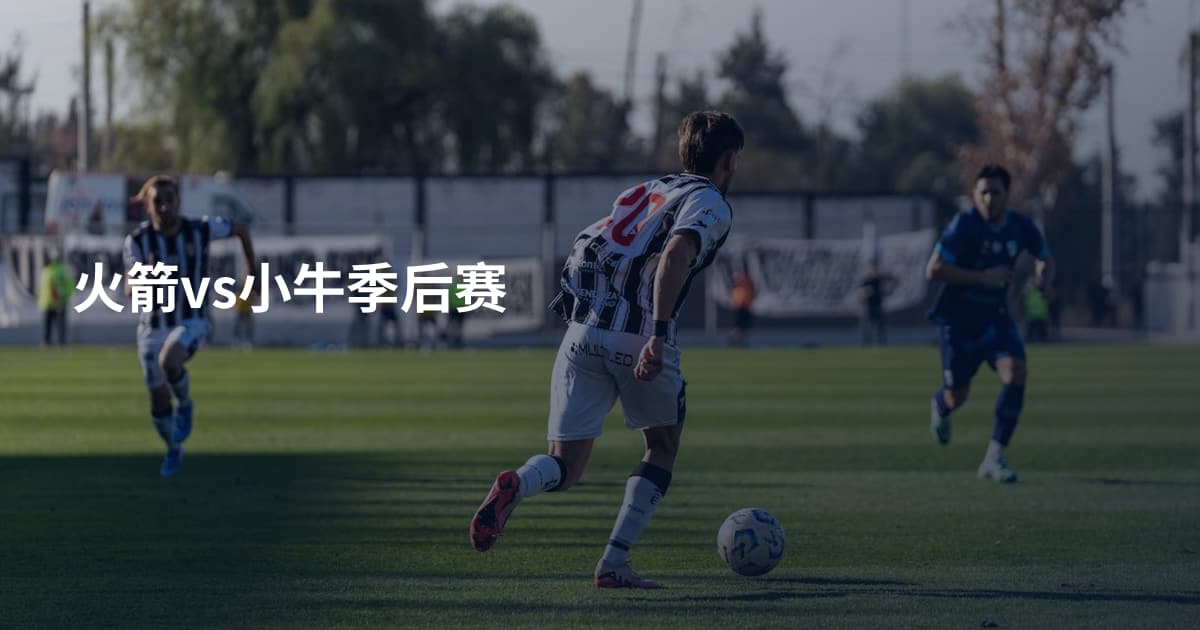 火箭vs小牛季后赛