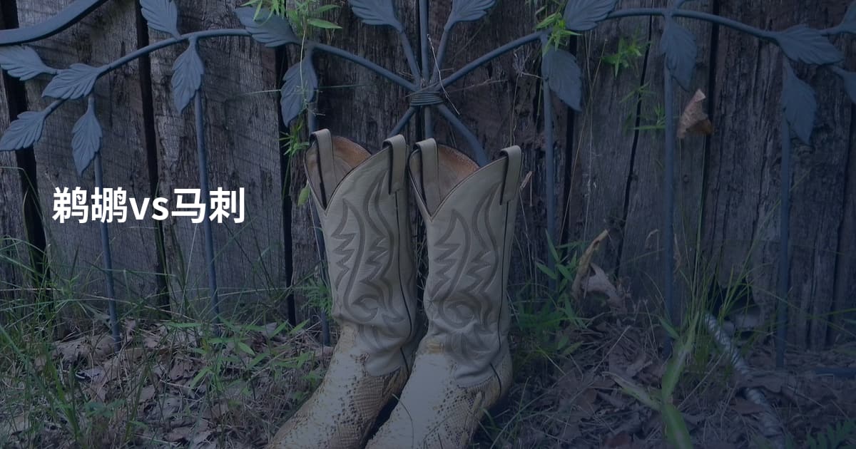 鹈鹕vs马刺