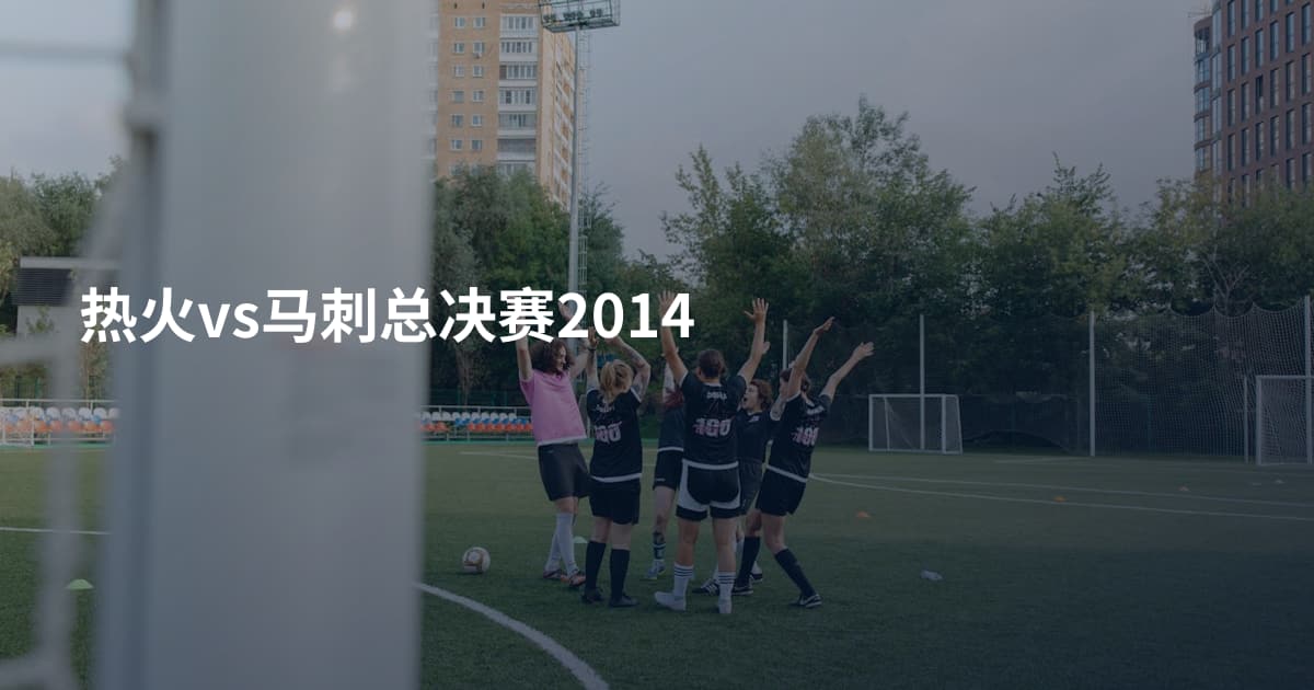 热火vs马刺总决赛2014