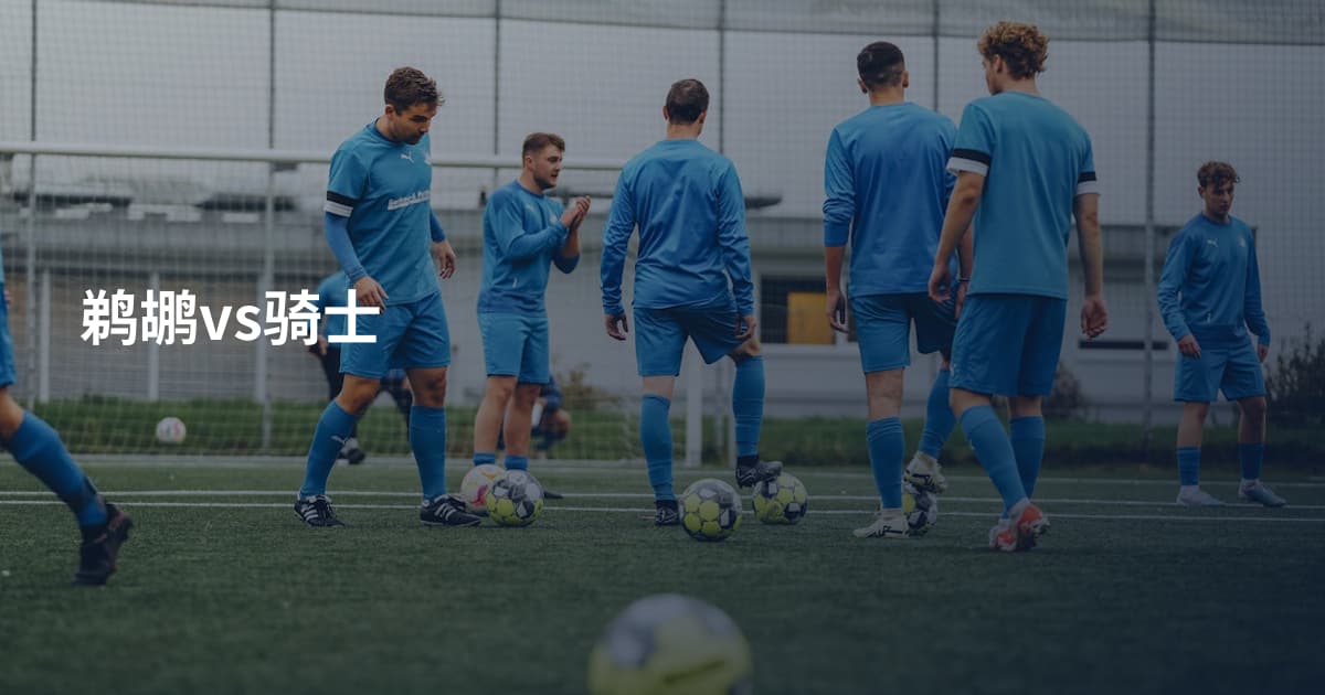 鹈鹕vs骑士