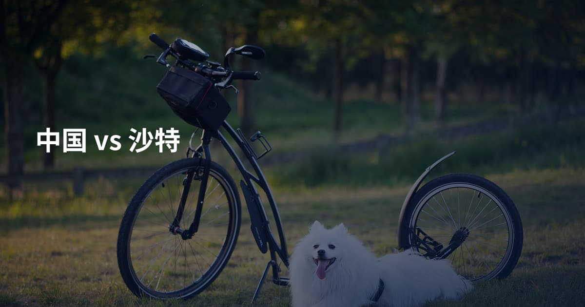 中国 vs 沙特