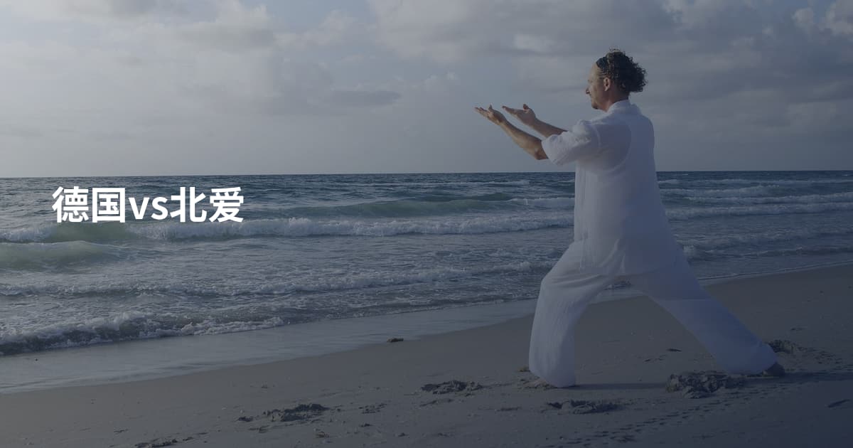 德国vs北爱