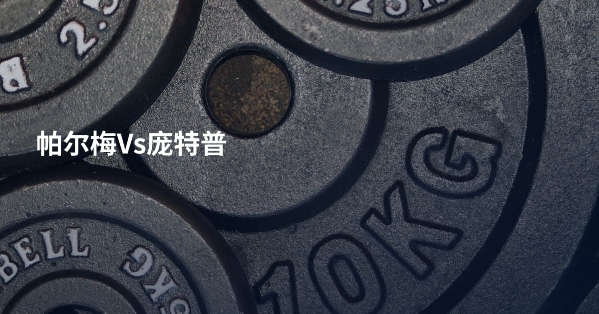 帕尔梅Vs庞特普