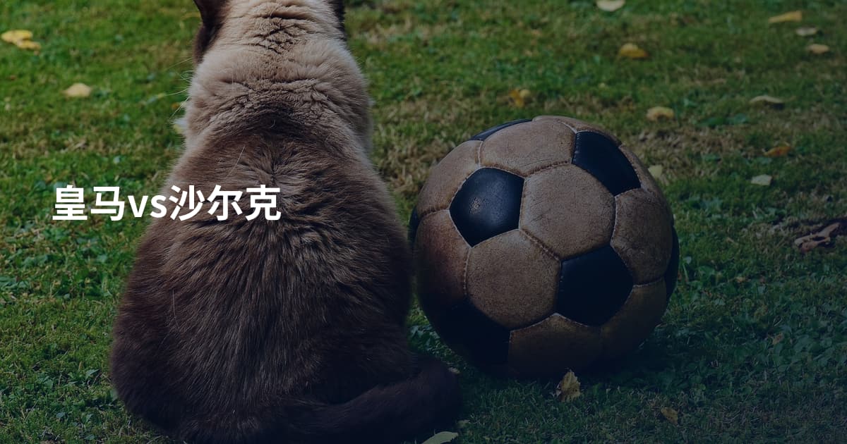 皇马vs沙尔克