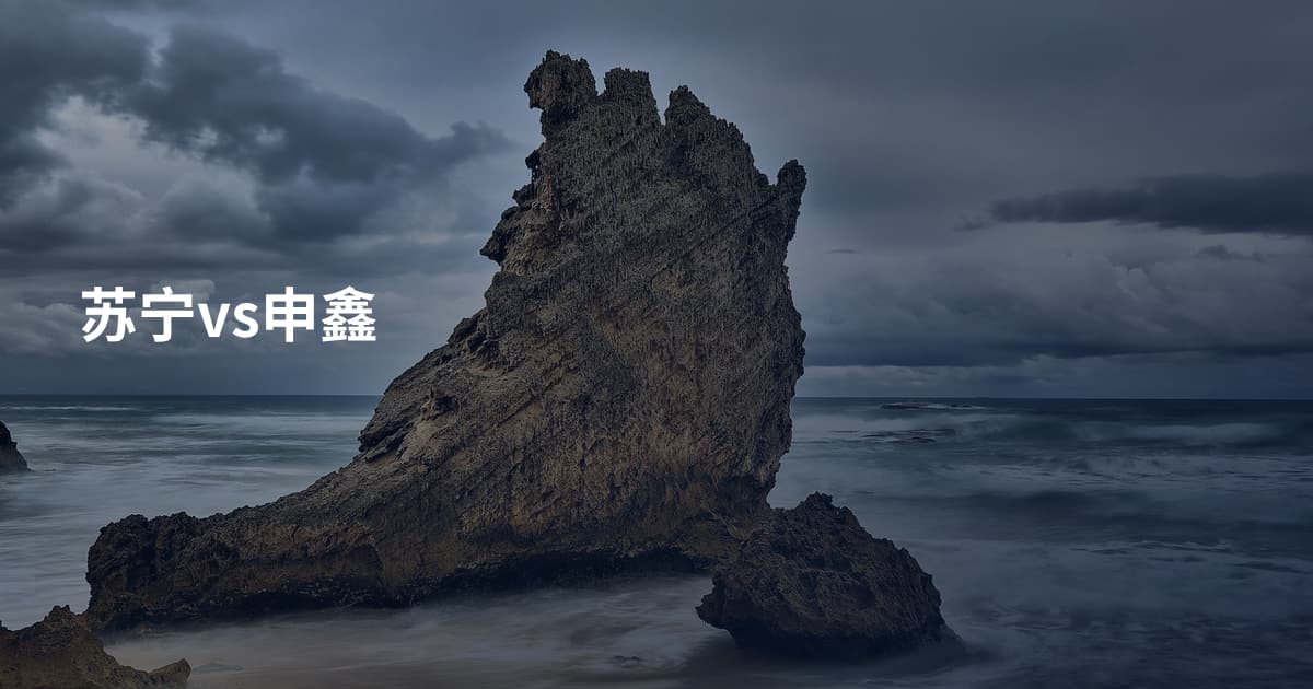 苏宁vs申鑫