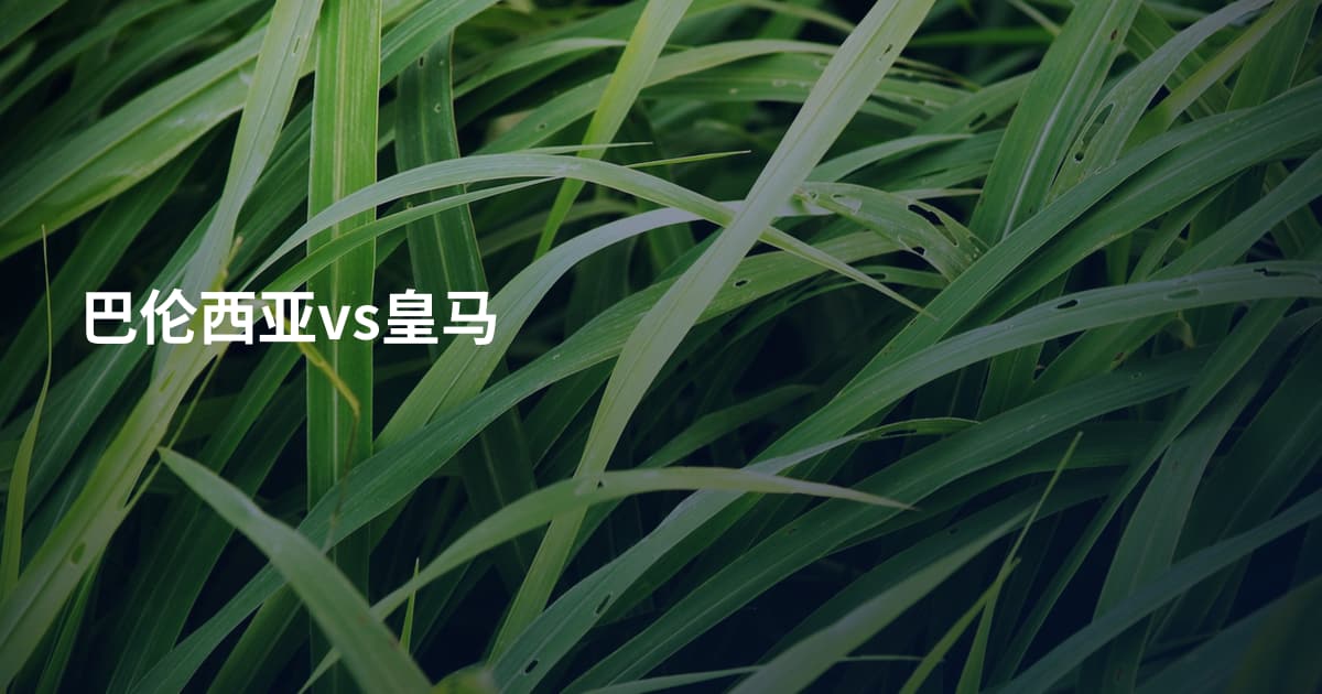 巴伦西亚vs皇马