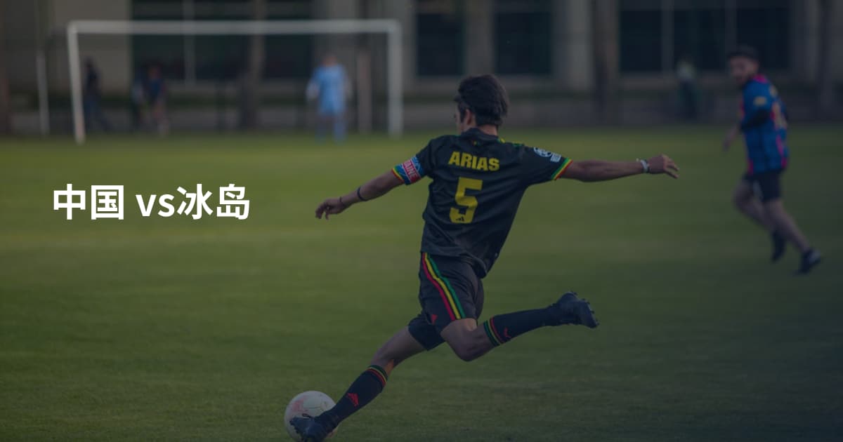 中国 vs冰岛