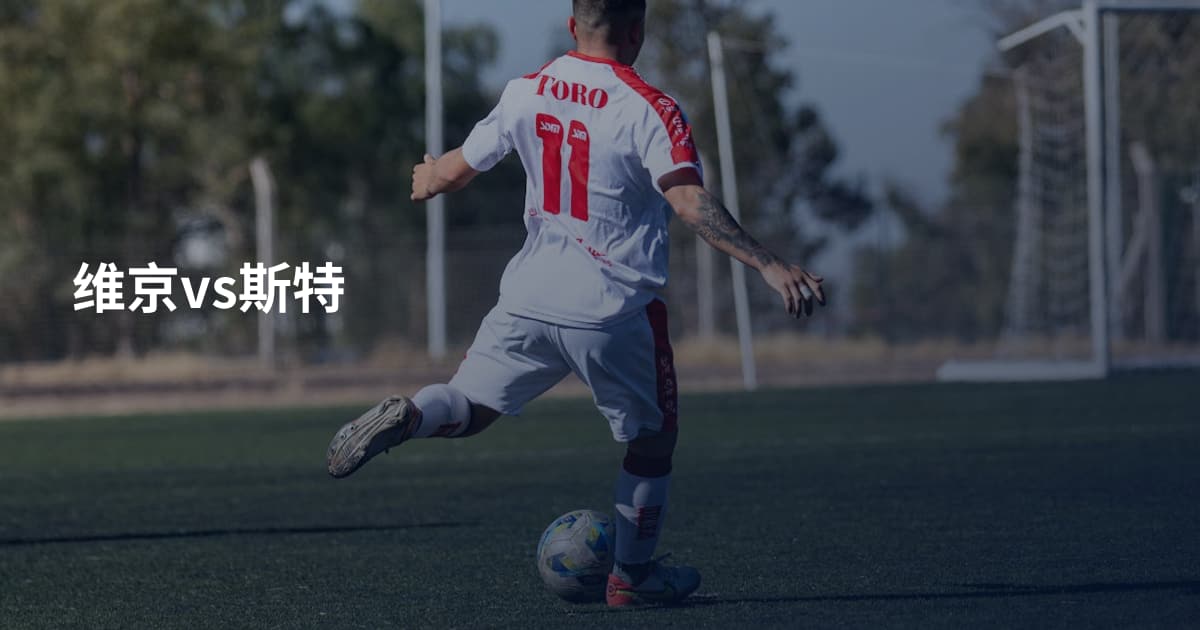 维京vs斯特