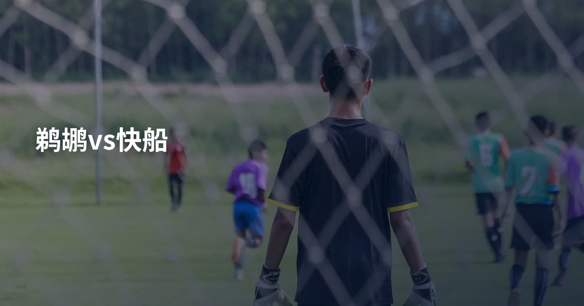 鹈鹕vs快船