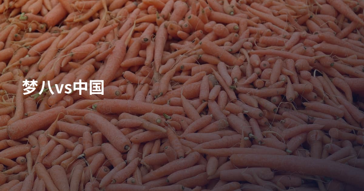 梦八vs中国