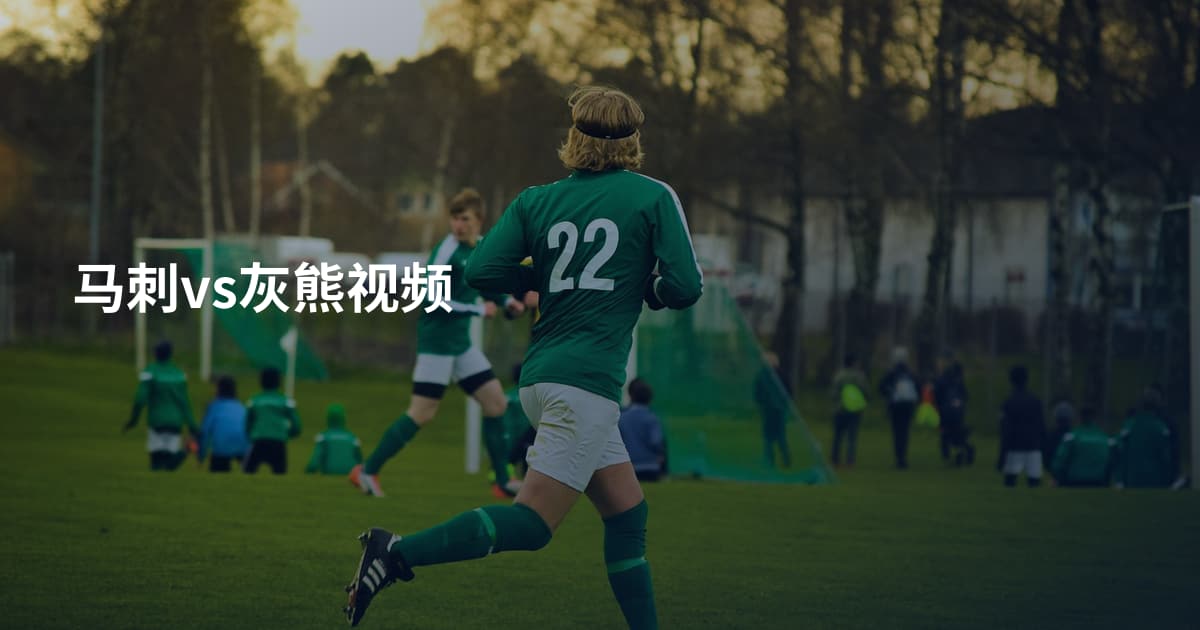 马刺vs灰熊视频