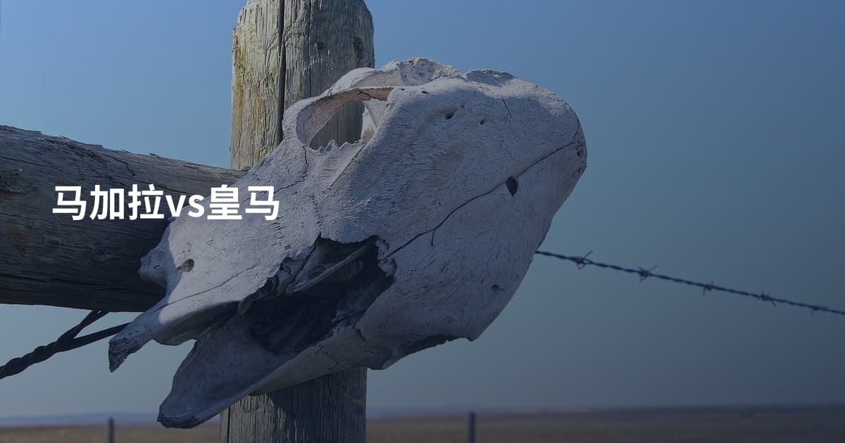 马加拉vs皇马