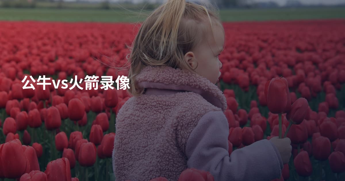 公牛vs火箭录像