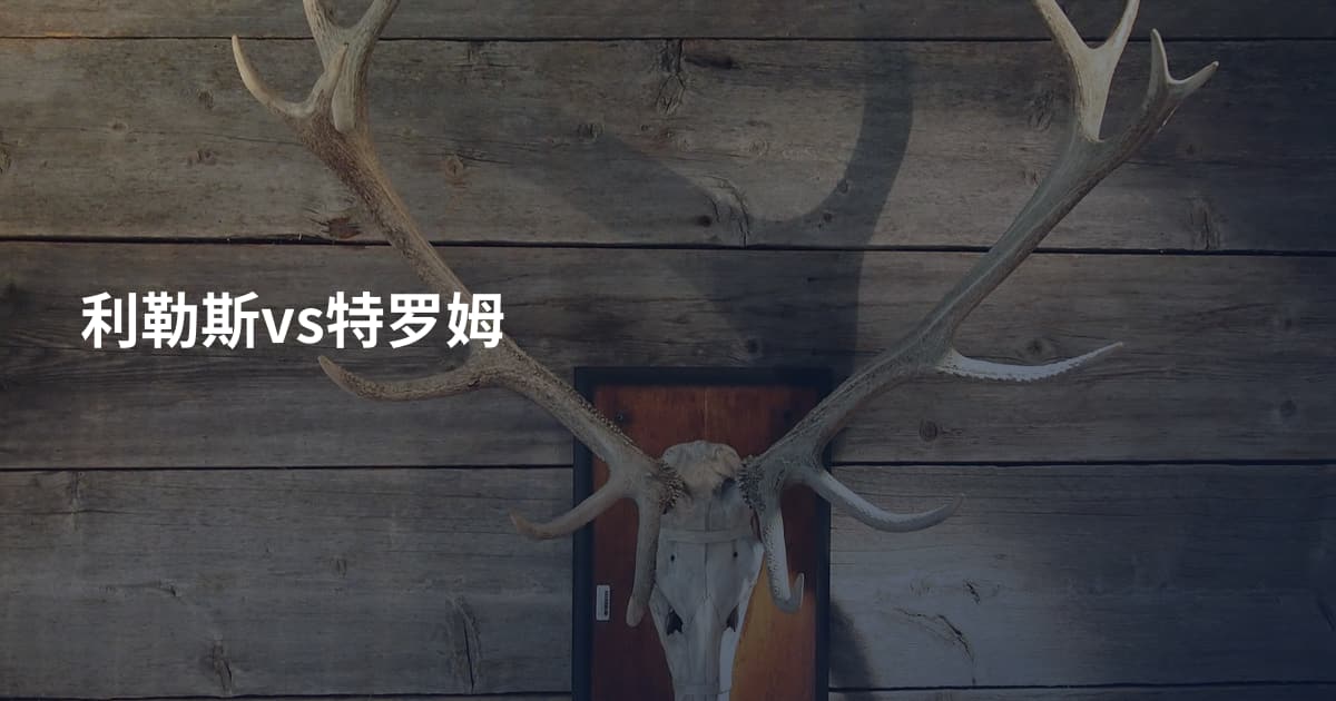 利勒斯vs特罗姆